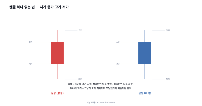 캔들과 거래량 읽는 법: 차트가 말해 주는 것과 아닌 것