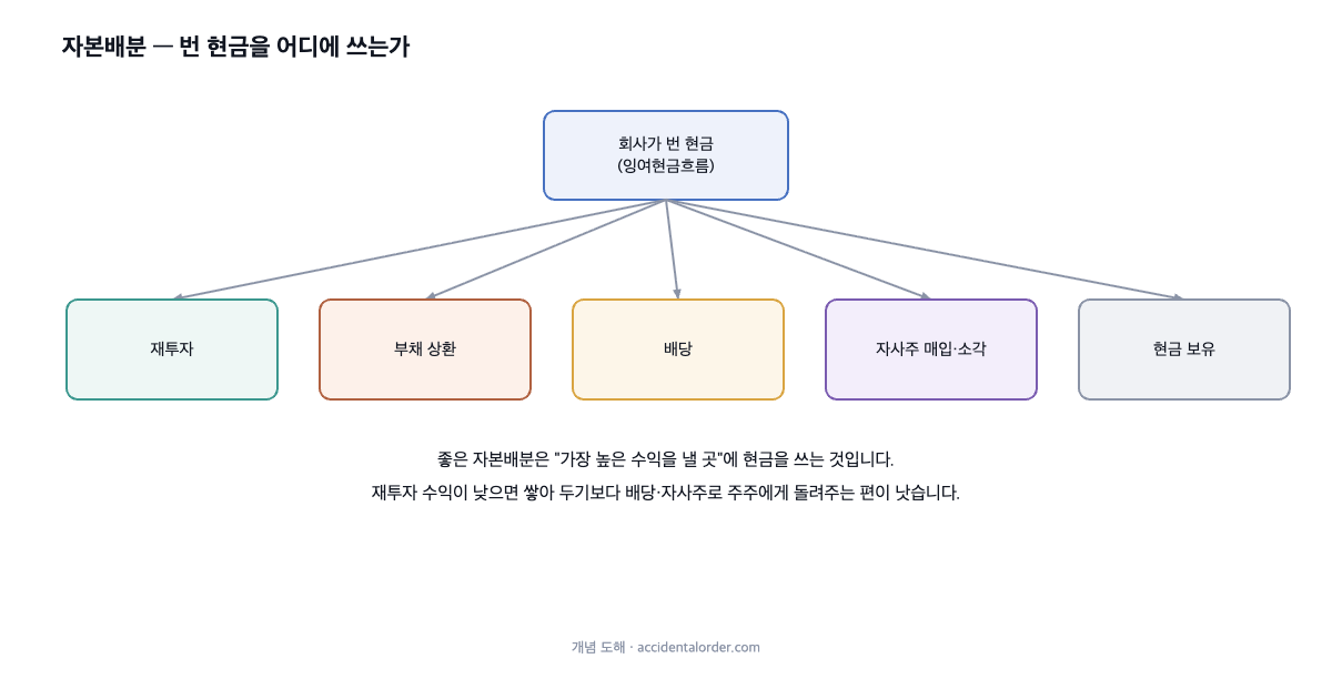 자본배분의 다섯 갈래